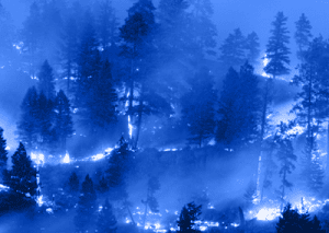 Wildfire