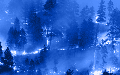 The American Meteorological Society: Impacts of Climate Change on Wildfire & Drought