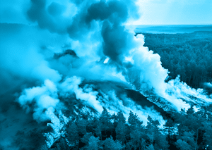 Wildfire