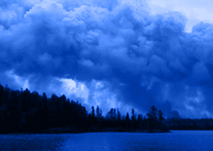 Wildland-Fires