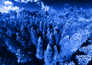 Nature-based-Solutions