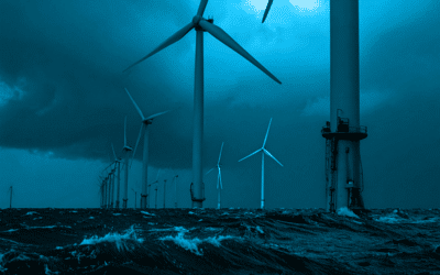How Energy Leader Ørsted’s Climate Adaptation Strategy Delivers Business Value